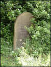 grave6RIDAL.jpg (157461 Byte)