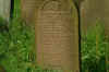 9l-joseph-hattersley.jpg (230364 Byte)